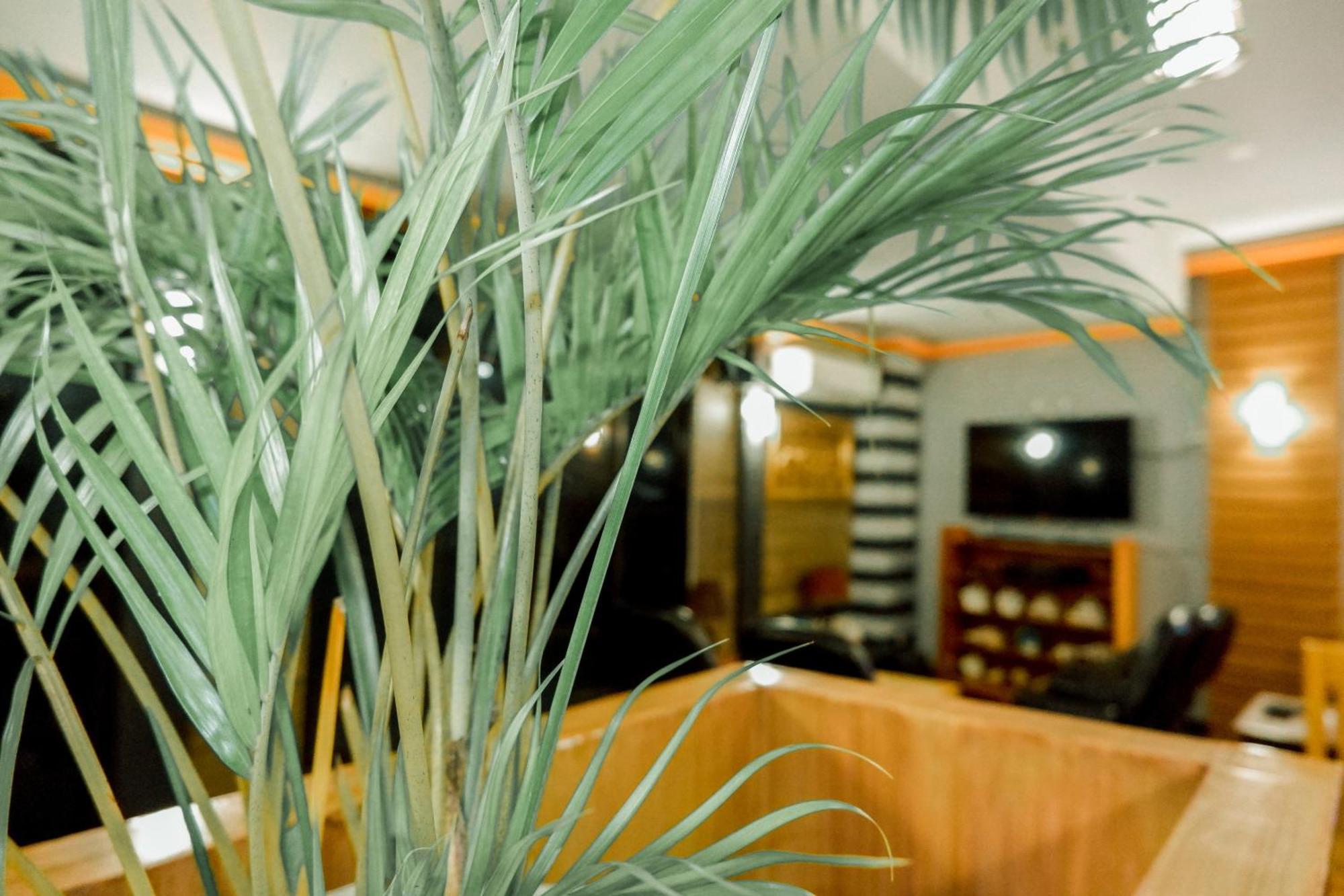 Casi Verde Guest House 邦劳 外观 照片