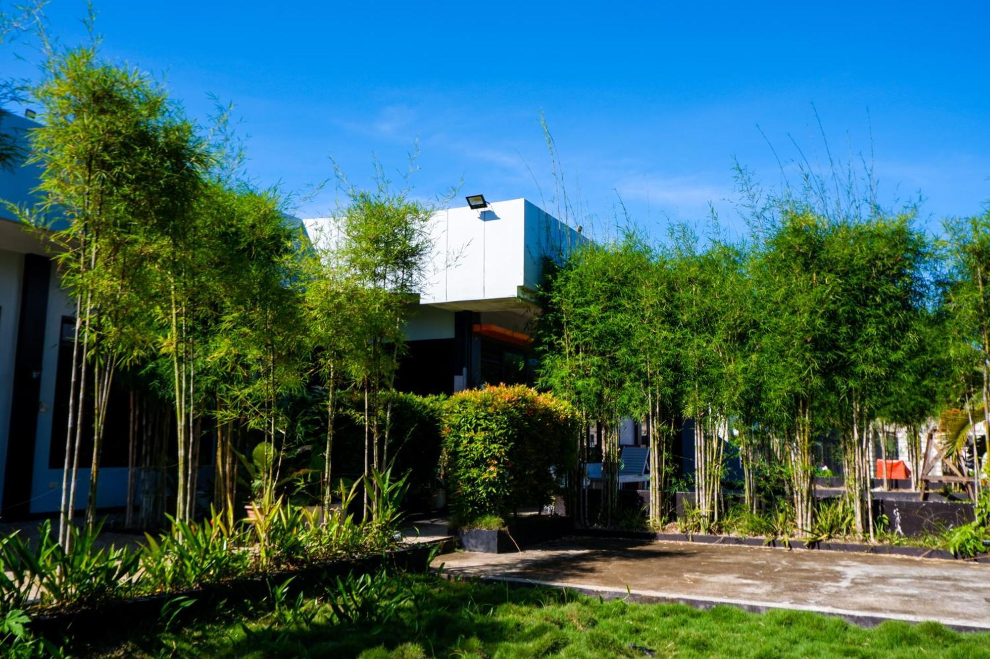 Casi Verde Guest House 邦劳 外观 照片