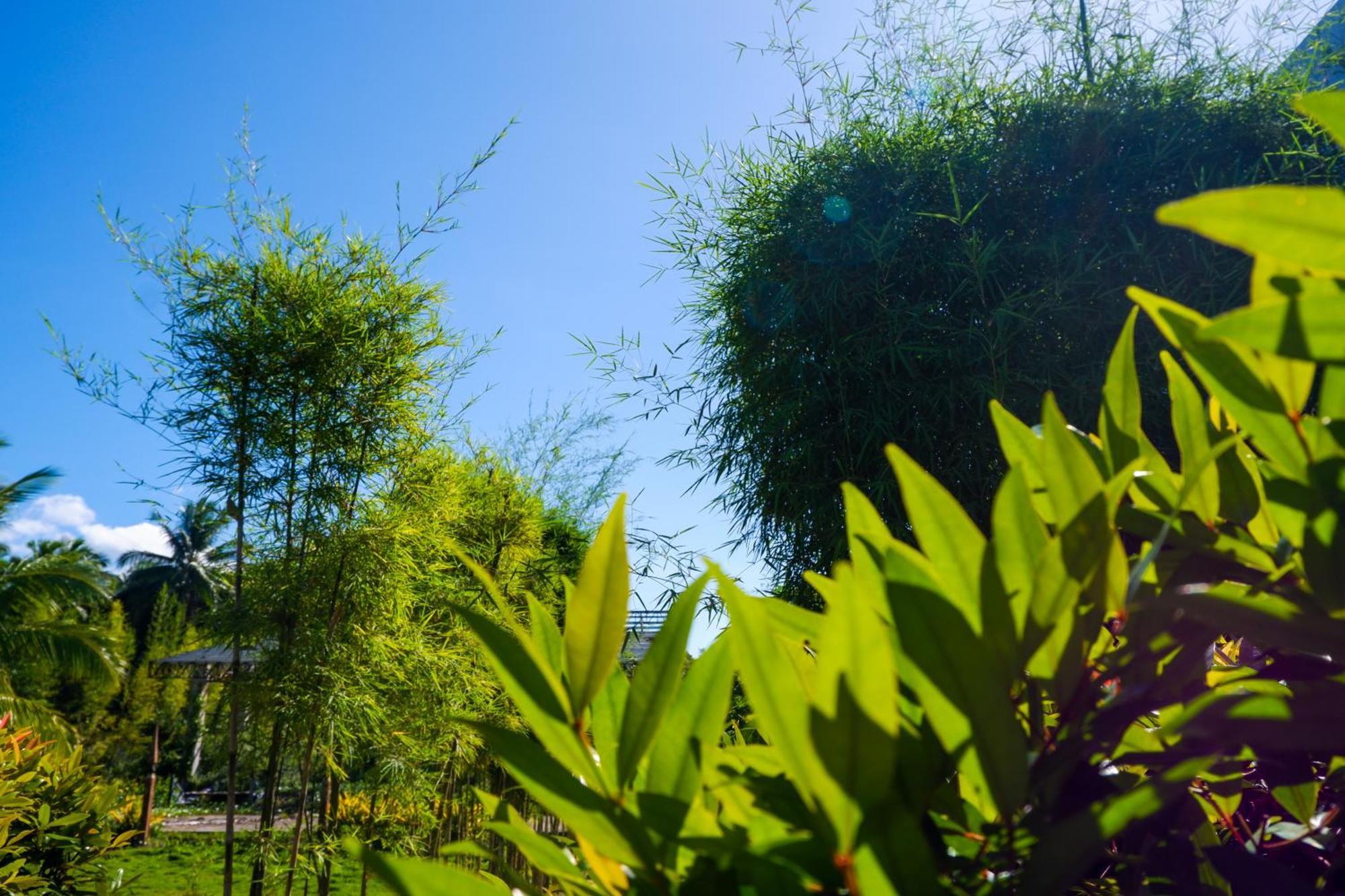 Casi Verde Guest House 邦劳 外观 照片